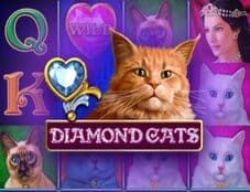Diamond Cats